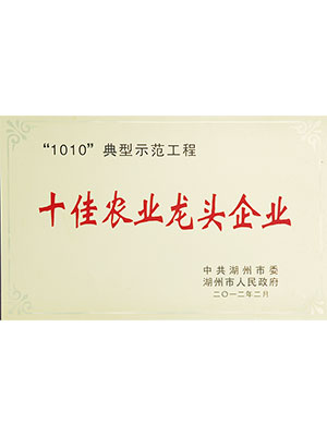 十佳农业龙头企业